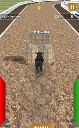 狗狗賽跑3D截圖欣賞