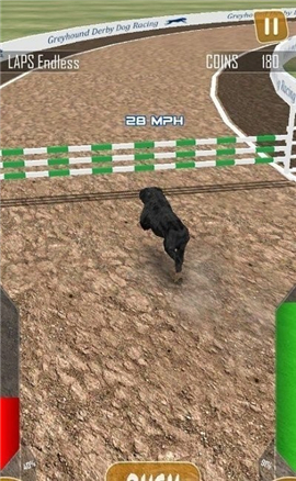 狗狗賽跑3D截圖欣賞