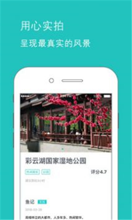 魚游截圖欣賞