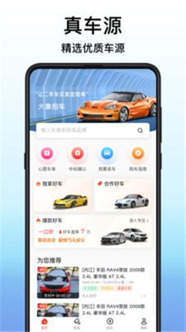 大象拍車截圖欣賞