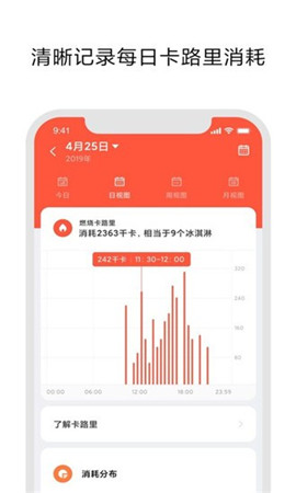小米穿戴Lite