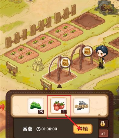 家有小店怎么種番茄 家有小店一鍵種植攻略