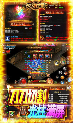 戰(zhàn)龍?jiān)谝昂Ａ堪娼貓D欣賞