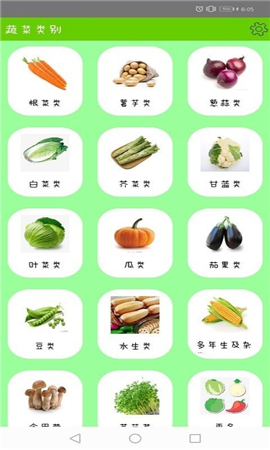 健康綠蔬截圖欣賞