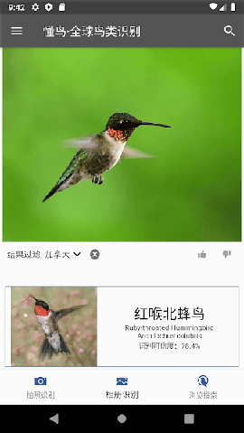 懂鳥全球截圖欣賞