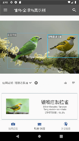 懂鳥全球截圖欣賞