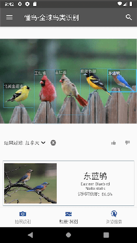 懂鳥全球截圖欣賞