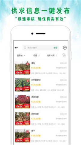 苗來苗往截圖欣賞