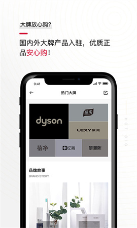 花貓?jiān)粕探貓D欣賞