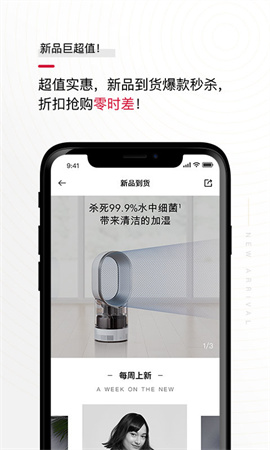 花貓?jiān)粕探貓D欣賞