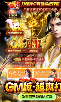 大道爭(zhēng)鋒滿級(jí)至尊VIP30版截圖欣賞