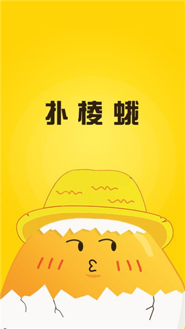 撲棱蛾