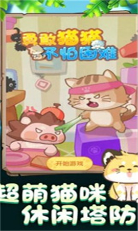 勇敢貓貓不怕困難