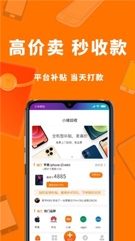 小豬回收