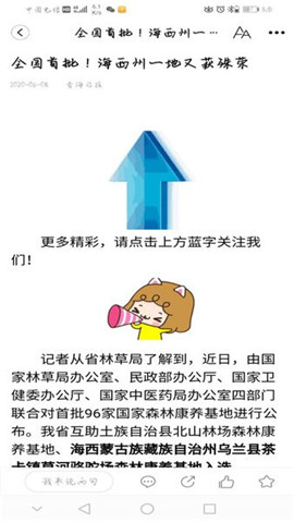 大美互助資訊