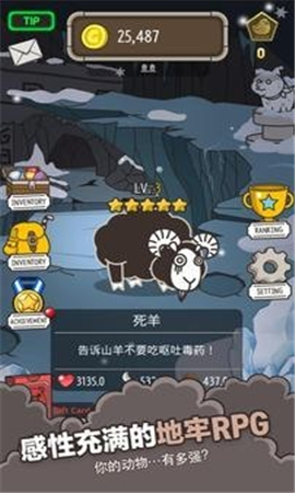 你的動物