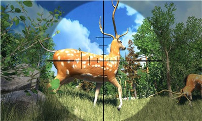 荒野狩獵模擬器截圖欣賞