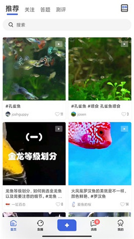 鯤天下