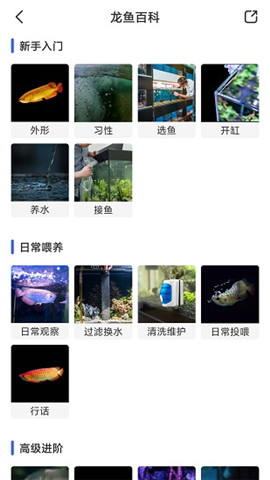 鯤天下截圖欣賞