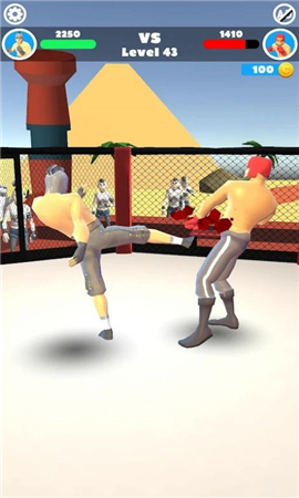 MMAFight