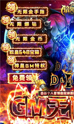 暗黑覺醒滿V版截圖欣賞