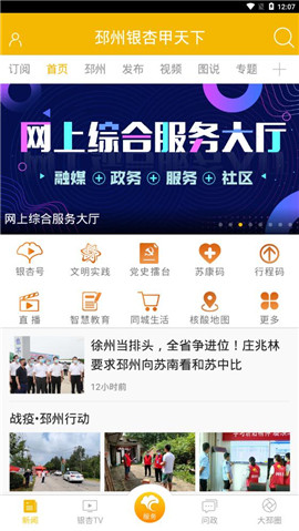 邳州銀杏甲天下