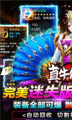 真牛傳奇滿攻速版截圖欣賞
