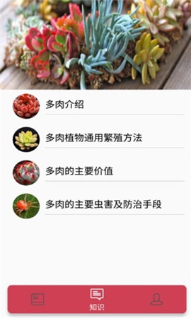 花草多肉日記