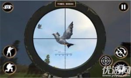鴿子射擊