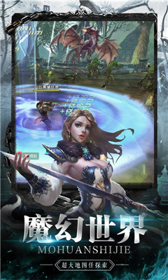 傲視沙城領GM武器版截圖欣賞