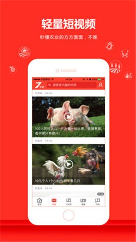 農(nóng)視NTV