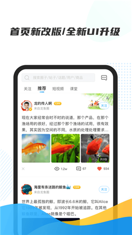 龍巔魚鄰