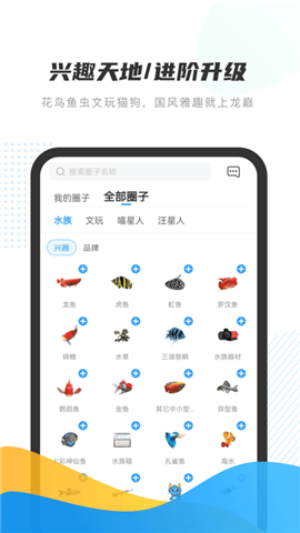 龍巔魚鄰