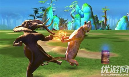 野生動物功夫亂斗