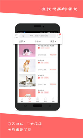 淘寵網(wǎng)截圖欣賞