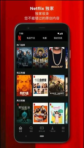 网飞Netflix截图欣赏