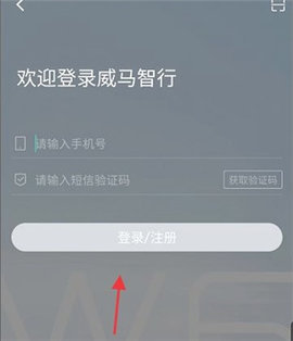 威馬智行