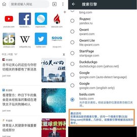 kiwibrowser