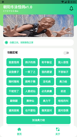 冬泳怪鸽盒游戏截图