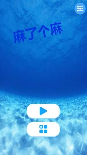 麻了個(gè)麻截圖欣賞