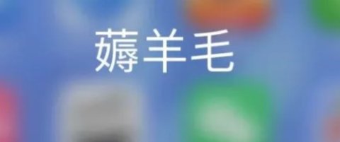 羊毛沖沖答app