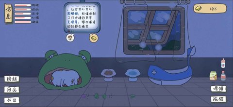 主播和貓的故事