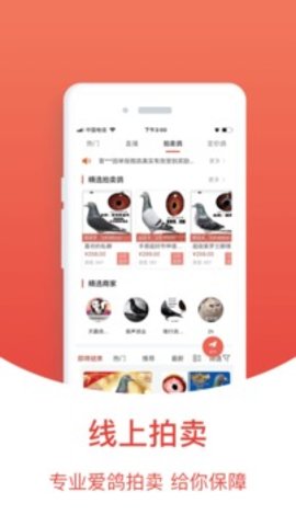 搜鴿天下