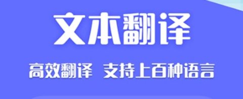 Deepl論文翻譯