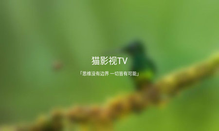 猫影视tv游戏截图