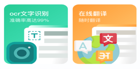 掌中掃描王鴨