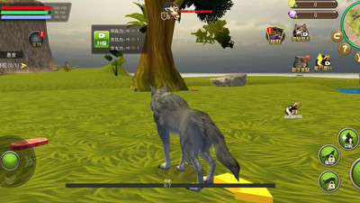 野狼与山羊模拟截图欣赏