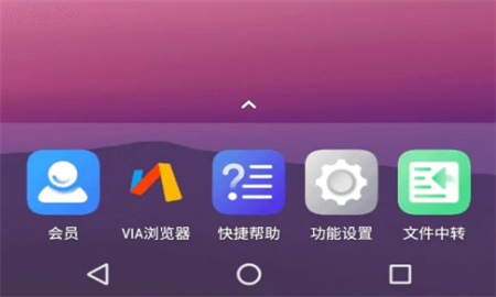 光速虛擬機(jī)vip