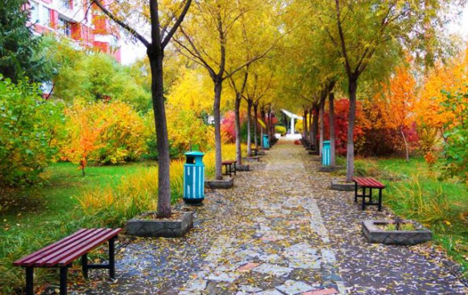 PU口袋校園APP