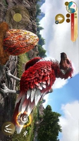 神雕狩獵模擬游戲截圖欣賞
